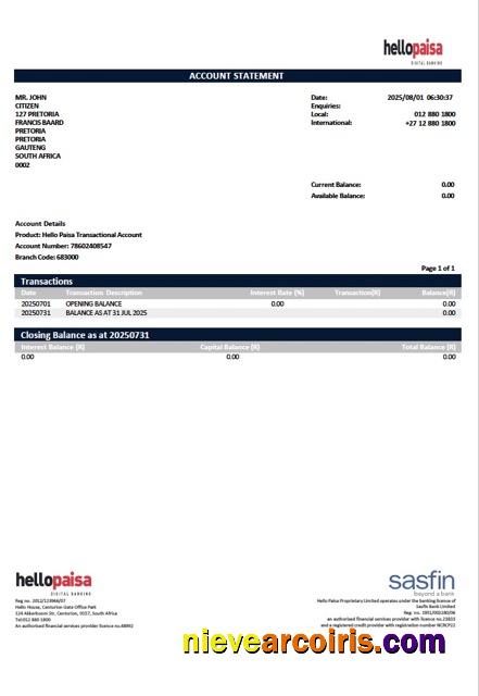 South Africa Hellopaisa account statement Word and PDF